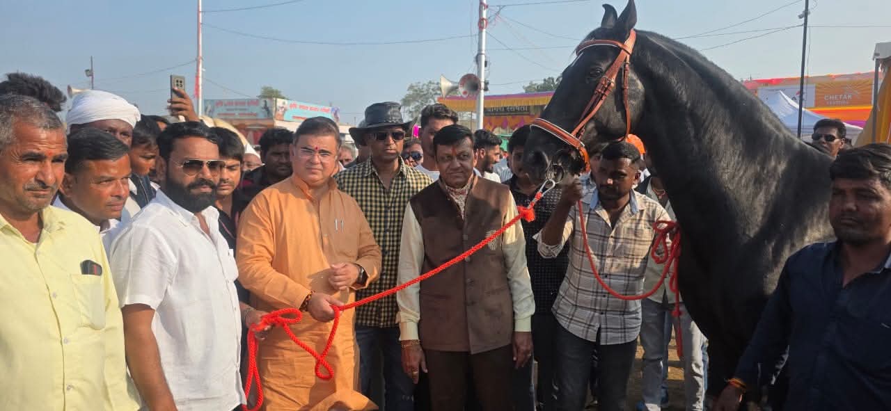 सारंगखेड्याचा चेतक महोत्सव ग्लोबल करण्यासाठी शासन पाठीशी पणन व राजशिष्टाचार मंत्री जयकुमार रावळ