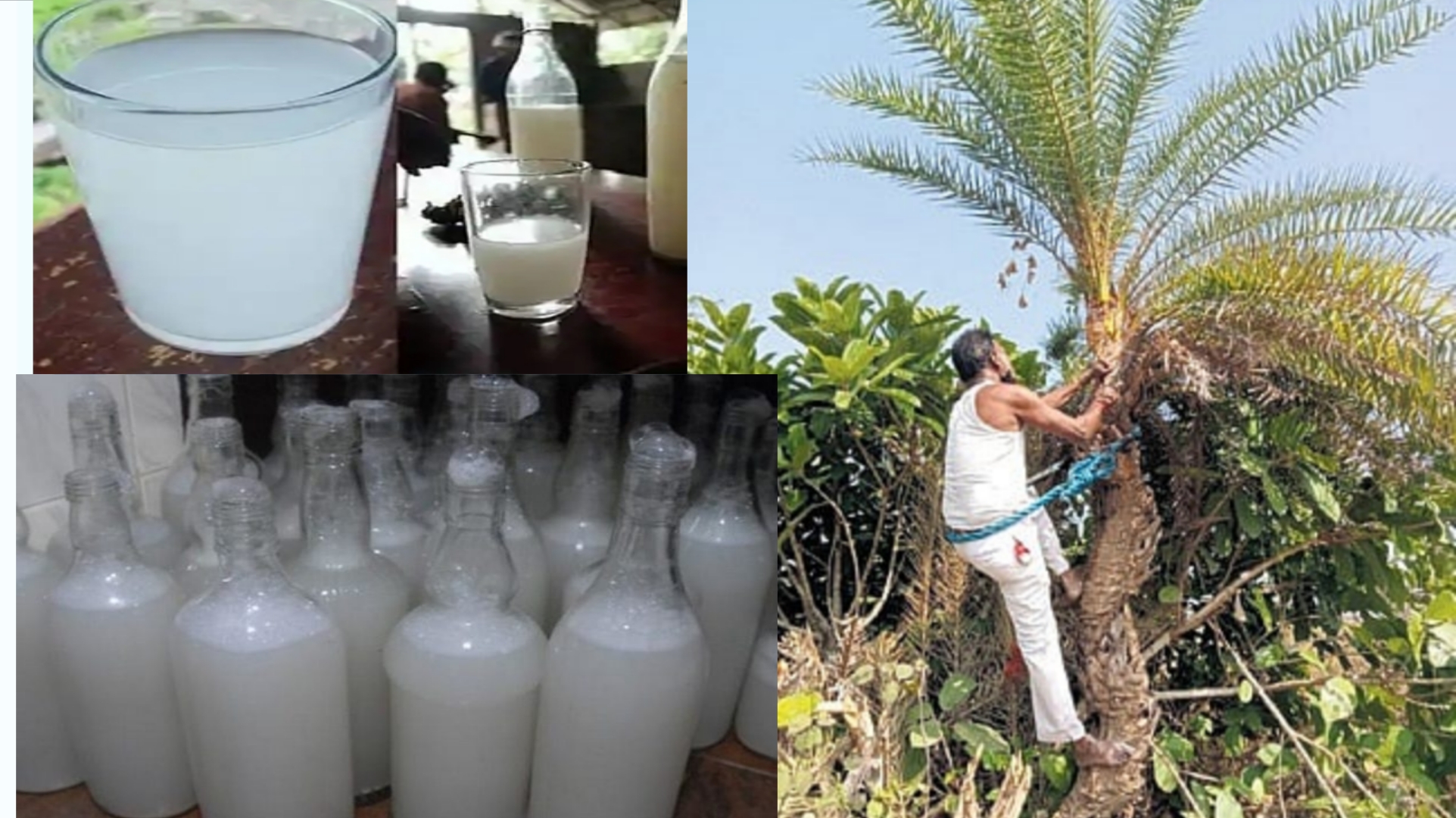 विना परवाना भेसळ युक्त ताडी विक्री करणाऱ्यांनावर होणार कारवाई..- नंदुरबार पोलीस अधिक्षक एस. श्रवण दत्त